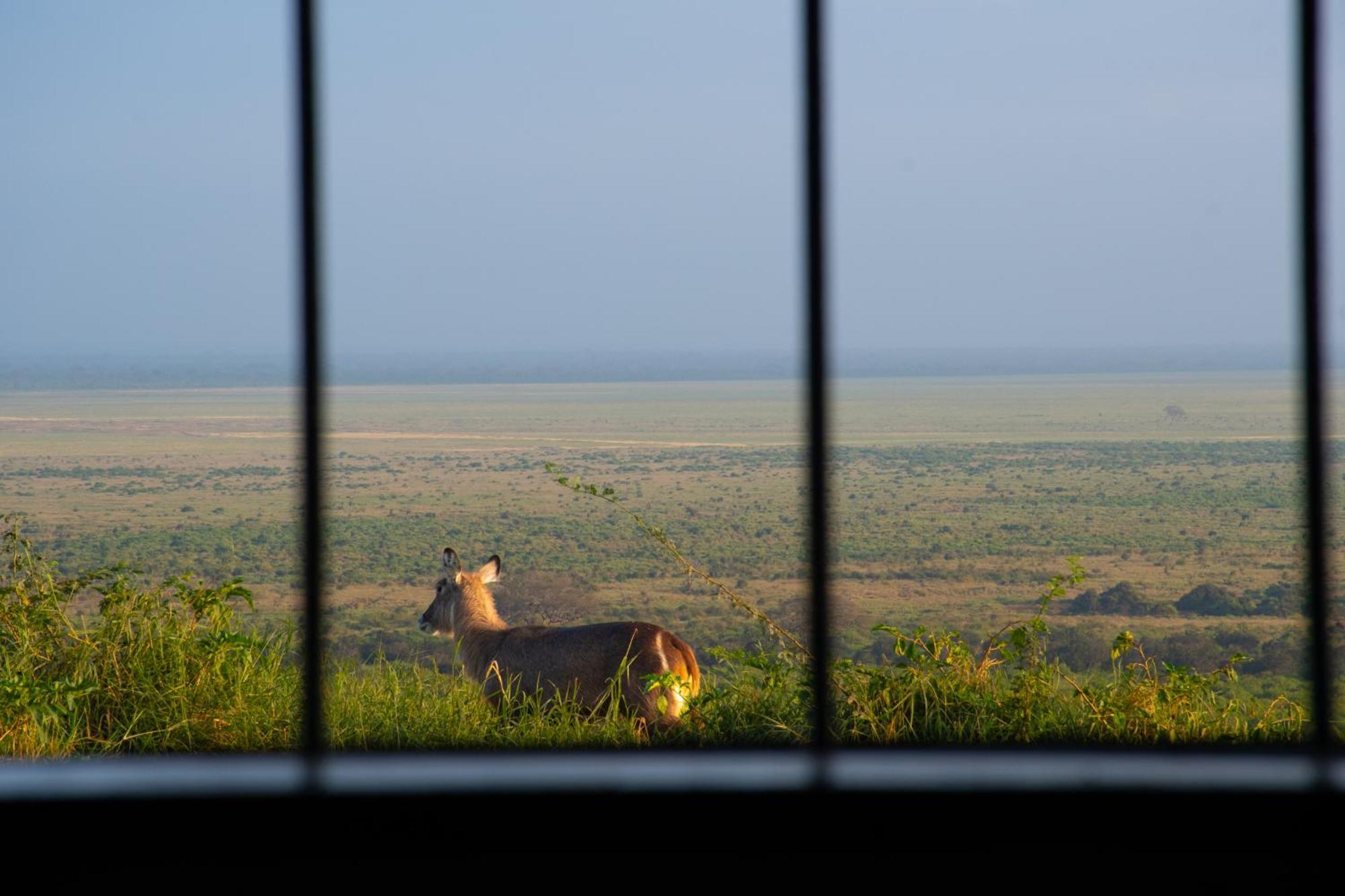 Voi Safari Lodge Zewnętrze zdjęcie